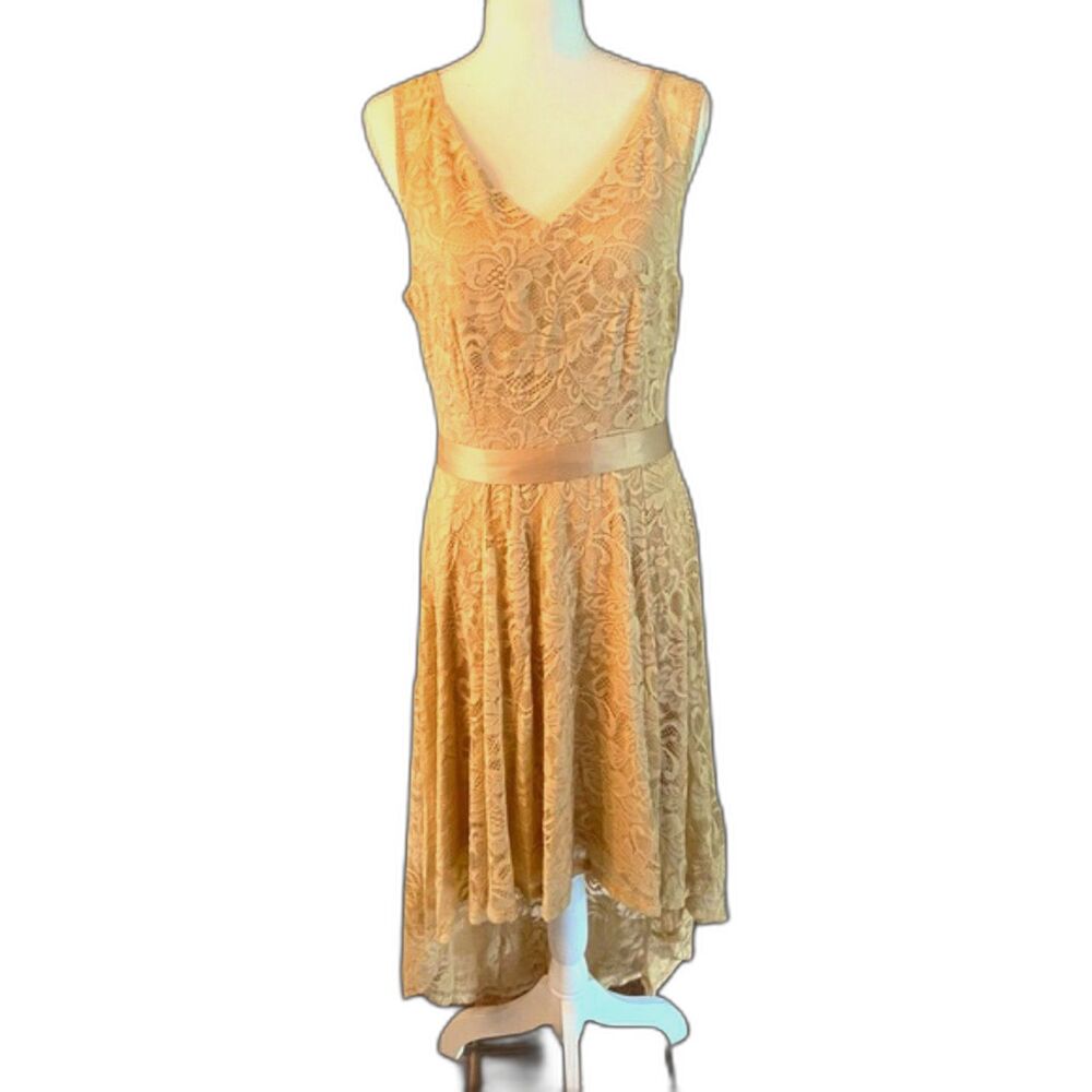 Berry Love High Low Formal Dress XL Chiffon Champagne (Formal or Wedding)